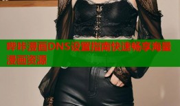 哔咔漫画DNS设置指南快速畅享海量漫画资源