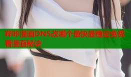 哔咔漫画DNS改哪个最快最稳定免费看漫画秘诀