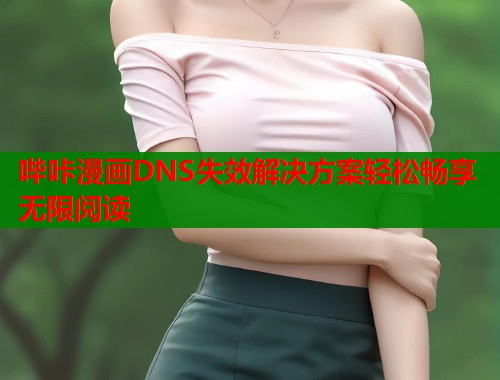哔咔漫画DNS失效解决方案轻松畅享无限阅读