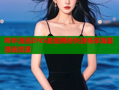 哔咔漫画DNS数据揭秘快速畅享海量漫画资源