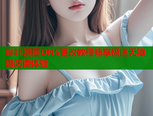 哔咔漫画DNS更改教程畅享极速无障碍阅读体验