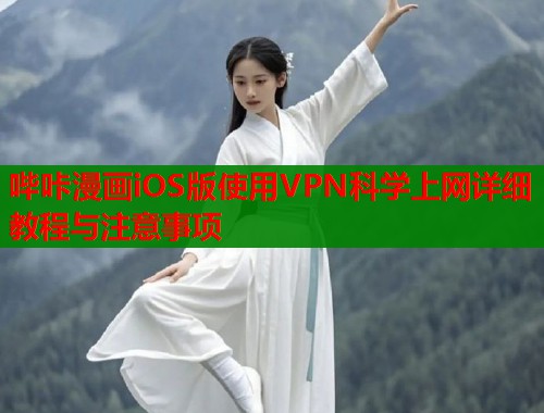 哔咔漫画iOS版使用VPN科学上网详细教程与注意事项